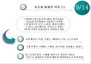 유럽통화통합,마스트리히트조약,유로화의배경및의의,유로화의경제적효과,유로화의영향력 10페이지