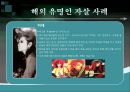 유명인들의 자살로 인한 사회현상 - 유명인들의 자살로인한 사회현상,자살사례,유명인자살사례,베르테르효과,모방자살,동조효과,자살대책,베르테르효과의확대원인.PPT자료 9페이지