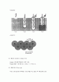 흙의 다짐 (Compaction) 16페이지