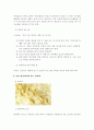 피부미용 과제 - 천연팩 종류와 효능 9페이지
