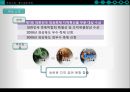 한국 음식 관광 - 음식관광,대게마케팅전략,울진대게,영덕대게,음식관광마케팅.PPT자료 9페이지