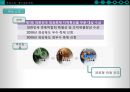 한국 음식 관광 - 음식관광,대게마케팅전략,울진대게,영덕대게,음식관광마케팅.PPT자료 11페이지