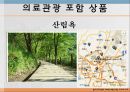 의료관광,산림욕,마사지,뷰티산업,브랜드마케팅,서비스마케팅,글로벌경영,사례분석,swot,stp,4p,해외사례 5페이지