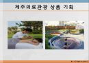 의료관광,산림욕,마사지,뷰티산업,브랜드마케팅,서비스마케팅,글로벌경영,사례분석,swot,stp,4p,해외사례 28페이지