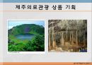 의료관광,산림욕,마사지,뷰티산업,브랜드마케팅,서비스마케팅,글로벌경영,사례분석,swot,stp,4p,해외사례 31페이지