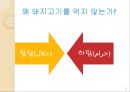 이슬람교와 국제마케팅 전략 - 이슬람마케팅전략,이슬람문화사례,할랄문화.PPT자료 14페이지