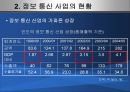 인도의 전자상거래 - 인도인프라,인도정보통신,인도전자거래,인도전자상거래현황,인도통신사업.PPT자료 4페이지