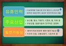 중국 투자와 통상 - 장강중류 경제권 (장강중류경제권,장강중류,장강중류경제권,중부굴기도시별,중부굴기,중국중부굴기,중부굴기의도시경쟁력,중부굴기경제규모).PPT자료 3페이지