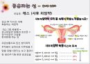 자유로운남성, 조심해야하는 여성 (페미니스트.올바른성문화.할례,여성의보호,공유되는성).PPT자료 27페이지