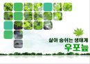 살아 숨쉬는 생태계 - 우포늪 (자연과환경,늪지,생태계).ppt 1페이지