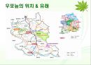 살아 숨쉬는 생태계 - 우포늪 (자연과환경,늪지,생태계).ppt 3페이지