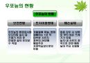 살아 숨쉬는 생태계 - 우포늪 (자연과환경,늪지,생태계).ppt 7페이지