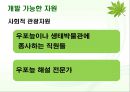 살아 숨쉬는 생태계 - 우포늪 (자연과환경,늪지,생태계).ppt 15페이지