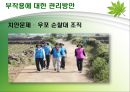 살아 숨쉬는 생태계 - 우포늪 (자연과환경,늪지,생태계).ppt 32페이지