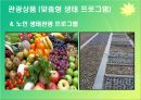 살아 숨쉬는 생태계 - 우포늪 (자연과환경,늪지,생태계).ppt 38페이지