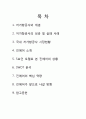 실용항공사 진에어 (저가항공사,저가항공사 성공및 실패사례, 시장현황, 진에어 마케팅전략) 2페이지