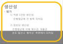 [재무 관리] 선정 은행 : KB 국민은행 - 재무관리,KB국민은행,국민은행,KB국민,은행재무관리.PPT자료 8페이지