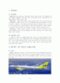 저가항공사,진에어,사우스웨스트,저가항공사비교,국내저가항공사,국외저가항공사,에어부산,제주항공,이스타항공,티웨이항공 2페이지