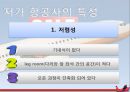 저가항공사,항공마케팅,마케팅사례,마케팅,브랜드,브랜드마케팅,기업,서비스마케팅,글로벌,경영,시장,사례,swot,stp,4p 4페이지