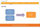 ENJOY YOUR FLIGHT 해외 LCC(Low Cost Carrier)의 국내 진출에 대한 제주항공의 마케팅 대응 전략 - 飛上전략 (제주항공,항공마케팅,저가항공사,LCC,마케팅).PPT자료 6페이지