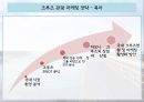제주도 관광 마케팅전략 및 크루즈 관광 마케팅 전략 - 제주도관광마케팅,크루즈관광마케팅,관광마케팅사례 PPT자료 11페이지