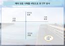 제주도 관광 마케팅전략 및 크루즈 관광 마케팅 전략 - 제주도관광마케팅,크루즈관광마케팅,관광마케팅사례 PPT자료 21페이지