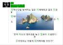 정책대안의탐색개발,근원적정책대안,점증주의적탐색,정책대안분석 14페이지