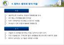 [종교와 유럽문화] 이슬람 문화권의 종교예술.PPT자료 10페이지