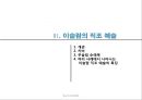 [종교와 유럽문화] 이슬람 문화권의 종교예술.PPT자료 25페이지