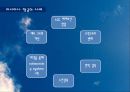 조직구조론_항공사조직설계,국내외항공사경영전략사례, 18페이지