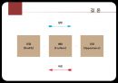 젠더와소비문화,여성의소비문화,남성의소비문화,대학생소비문화,제품군별소비문화,소비문화 17페이지