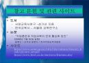 직업 교육의 역사  27페이지