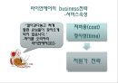 차별화전략-싱가포르에어라인 VS 저원가전략-라이언에어,차별화전략,저원가전략,저가전략,라이언에어,싱가포르에어라인,항공사비교,항공시장비교 5페이지