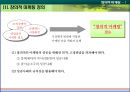 창의적마케팅,창의적마케팅전략,안나수이,미니루즈,창의마케팅,창의적마케팅사례,창의마케팅사례 4페이지