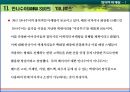 창의적마케팅,창의적마케팅전략,안나수이,미니루즈,창의마케팅,창의적마케팅사례,창의마케팅사례 9페이지