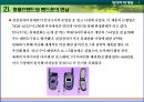 창의적마케팅,창의적마케팅전략,안나수이,미니루즈,창의마케팅,창의적마케팅사례,창의마케팅사례 10페이지