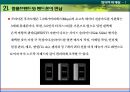 창의적마케팅,창의적마케팅전략,안나수이,미니루즈,창의마케팅,창의적마케팅사례,창의마케팅사례 12페이지
