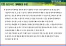 창의적마케팅,창의적마케팅전략,안나수이,미니루즈,창의마케팅,창의적마케팅사례,창의마케팅사례 15페이지