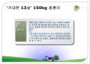 청소년 비만 (청소년비만문제,청소년비만종류,청소년비만유형,청소년비만해결책,청소년비만방안,비만문제,비만).PPT자료 4페이지