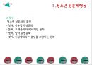 청소년과 성 - 청소년성문제, 성문제행동, 청소년성폭력, 청소년성매매, 성매매, 성폭력, 청소년성보호, 청소년성보호정책 PPT자료 4페이지