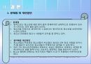 청소년관련법과 행정체계 (청소년관련법,청소년정책,청소년행정,청소년정책외국현황,외국청소년관련법).PPT자료 20페이지