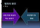 청소년 범죄 여러분의 생각은? (청소년범죄청소년범죄심각성,청소년범죄원인,청소년범죄분석,청소년범죄처벌,청소년범죄처벌강화,청소년가출).ppt 14페이지