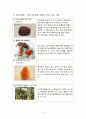 관광지와 접목시킨 커피 전문점 만들기 - 커피경영,커피프랜차이즈,커피산업,커피시장,브랜드마케팅,서비스마케팅,글로벌경영,사례분석,swot,stp,4p 11페이지