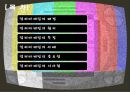 Color Marketing - 컬러마케팅전략,컬러마케팅사례,컬러마케팅분석,색채마케팅,색채마케팅사례,색채마케팅전략.PPT자료 3페이지