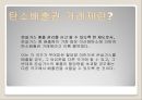 탄소 배출권 거래제 - 탄소 배출권 거래제,녹색기후기금(GCF),온실가스 배출로 인한 지구온난화.PPT자료 3페이지