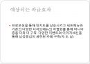 커피시장 - 투썸플레이스,카페베네마케팅전략,투썸플레이스마케팅전략,커피시장,커피마케팅전략.ppt 18페이지