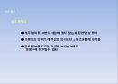 패션브랜드,행텐,브랜드마케팅사례,패션의류,마케팅,브랜드,브랜드마케팅,기업,서비스마케팅,글로벌,경영,시장,사례,swot,stp,4p 21페이지