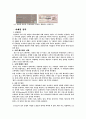 패밀리레스토랑분석,아웃백vs애슐리vs빕스,아웃백마케팅전략,애슐리마케팅전략,빕스마케팅전략,VIPS마케팅전략 16페이지