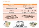 풀무원마케팅전략,풀무원기업분석,풀무원두부마케팅,두부시장분석,두부마케팅전략 8페이지