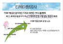 항공산업론,항공마케팅,저가항공사,마케팅,브랜드,브랜드마케팅,기업,서비스마케팅,글로벌,경영,시장,사례,swot,stp,4p 8페이지